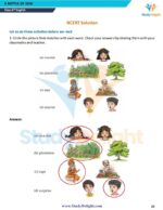 Class 6 English Short Notes 2025-2026 | Digital eBook (PDF)