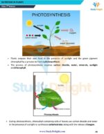 Class 7 Science Short Notes 2025-2026 | Digital eBook (PDF)