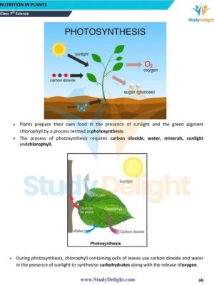 Chapter 1 Nutrition in Plants.pdf_page_04