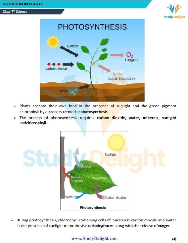 Class 7 Science Short Notes 2025-2026 | Digital eBook (PDF)