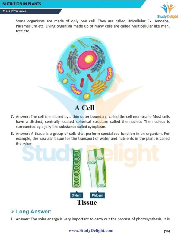 Class 7 Science Short Notes 2025-2026 | Digital eBook (PDF)