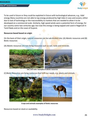 Chapter 1 Resources.pdf_page_04