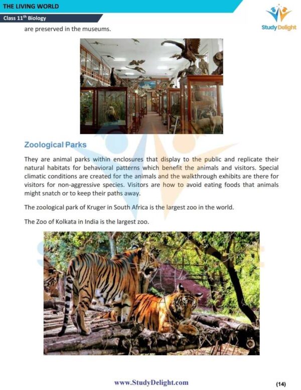 Class 11 Biology Short Notes 2025-2026 | Digital eBook (PDF)