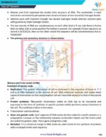 Class 12 Chemistry Short Notes 2025-2026 | Digital eBook (PDF)