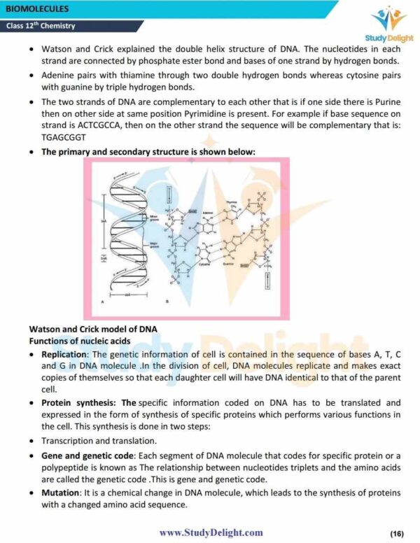 Class 12 Chemistry Short Notes 2025-2026 | Digital eBook (PDF)