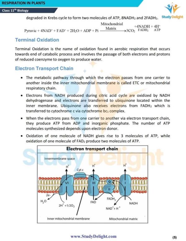Class 11 Biology Short Notes 2025-2026 | Digital eBook (PDF)