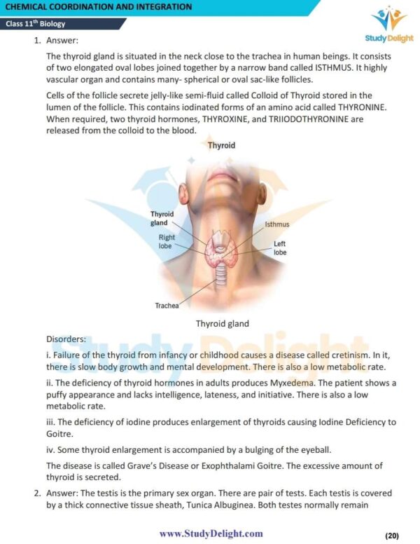 Class 11 Biology Short Notes 2025-2026 | Digital eBook (PDF)