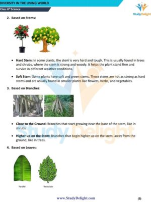 Chapter 2 Diversity in the Living World.pdf_page_06