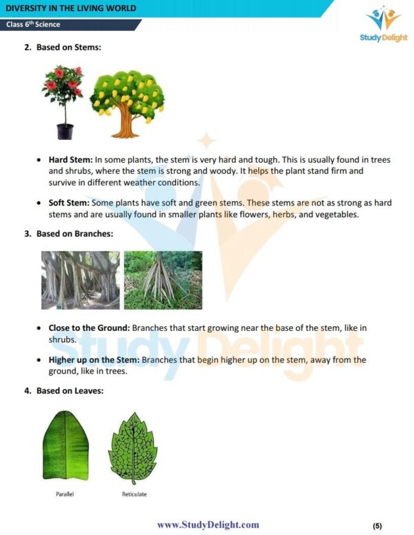 Class 6 Science Short Notes 2025-2026 | Digital eBook (PDF)