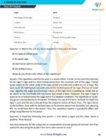 Class 10 English (First Flight) Short Notes 2025-2026 | Digital eBook (PDF)