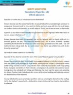 Class 9 English (Moments) Short Notes 2025-2026 | Digital eBook (PDF)