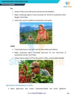 Class 12 Geography Education Short Notes 2025-2026 | Digital eBook (PDF)