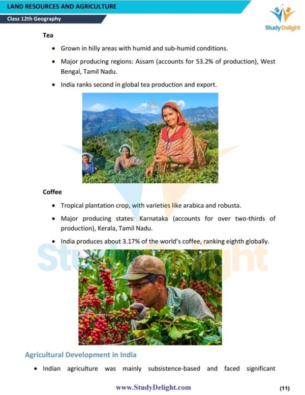 Class 12 Geography Education Short Notes 2025-2026 | Digital eBook (PDF)