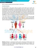Class 12 Biology Short Notes 2025-2026 | Digital eBook (PDF)