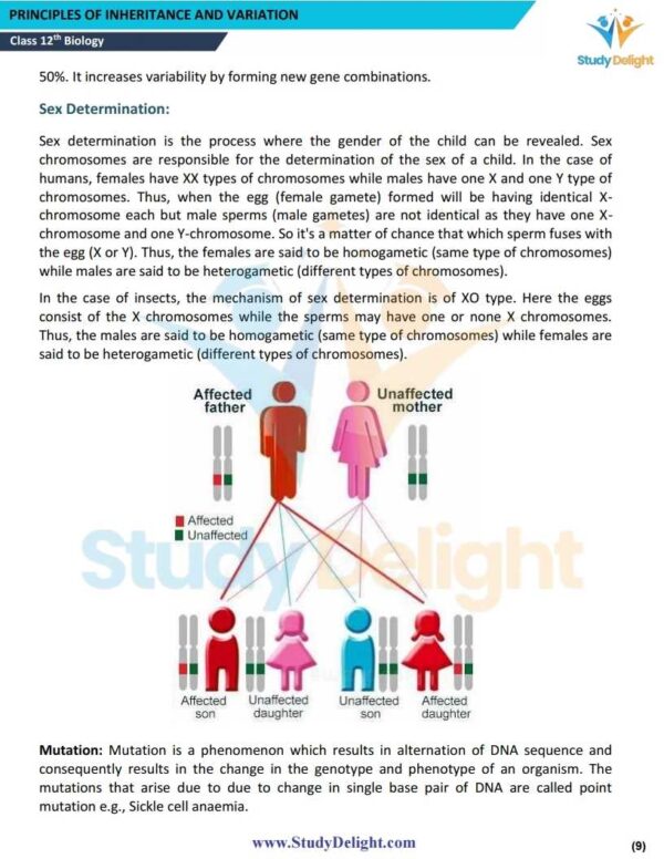 Class 12 Biology Short Notes 2025-2026 | Digital eBook (PDF)