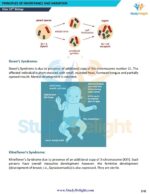 Class 12 Biology Short Notes 2025-2026 | Digital eBook (PDF)