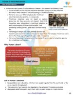 Class 10 History Short Notes 2025-2026 | Digital eBook (PDF)