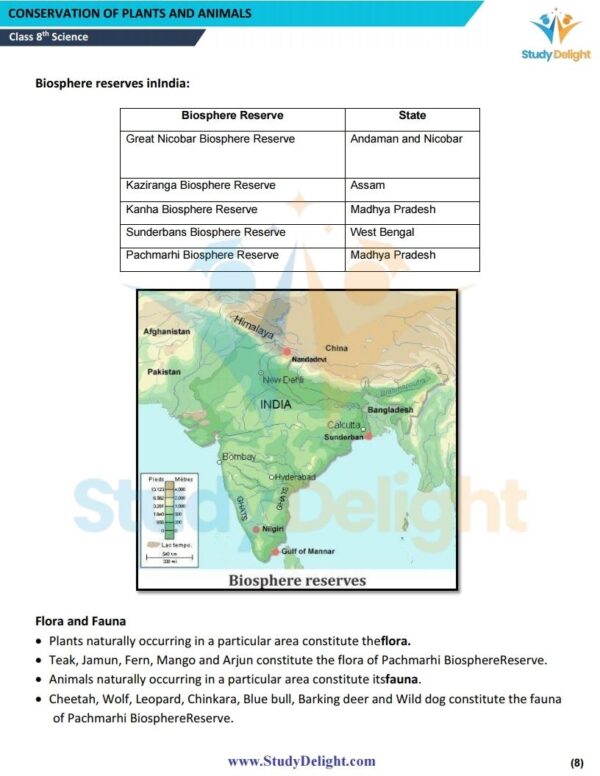 Class 8 Science Short Notes 2025-2026 | Digital eBook (PDF)