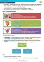 Class 10 Science Formula Sheet 2025-2026 | Digital eBook (PDF)