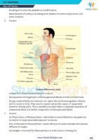 Class 10 Science Formula Sheet 2025-2026 | Digital eBook (PDF)