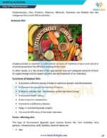 Class 12 Physical Education Short Notes 2025-2026 | Digital eBook (PDF)