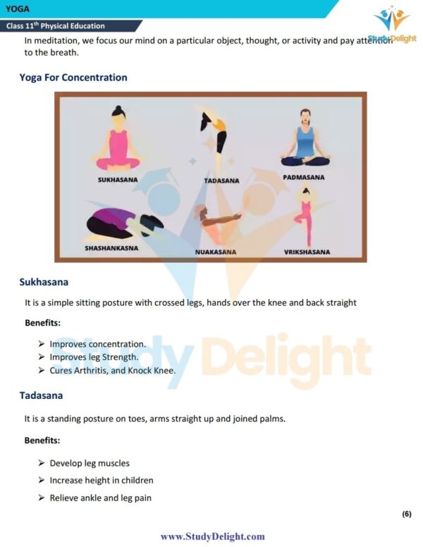 Class 11 Physical Education Short Notes 2025-2026 | Digital eBook (PDF)