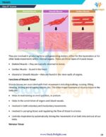 Class 9 Science Formula Sheet 2025-2026 | Digital eBook (PDF)