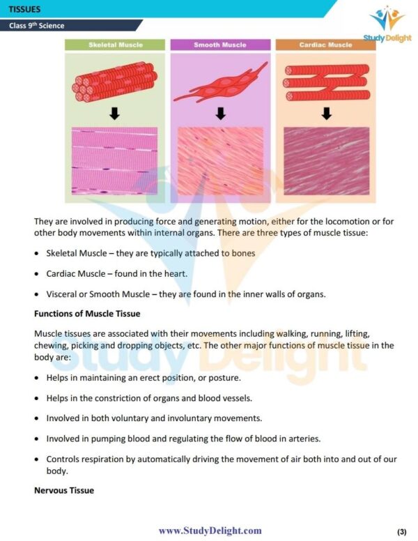 Class 9 Science Formula Sheet 2025-2026 | Digital eBook (PDF)