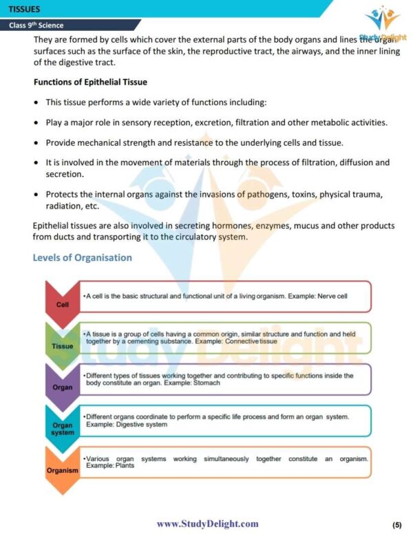 Class 9 Science Formula Sheet 2025-2026 | Digital eBook (PDF)