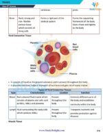 Class 9 Science Formula Sheet 2025-2026 | Digital eBook (PDF)