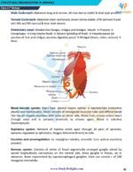 Class 11 Biology Short Notes 2025-2026 | Digital eBook (PDF)