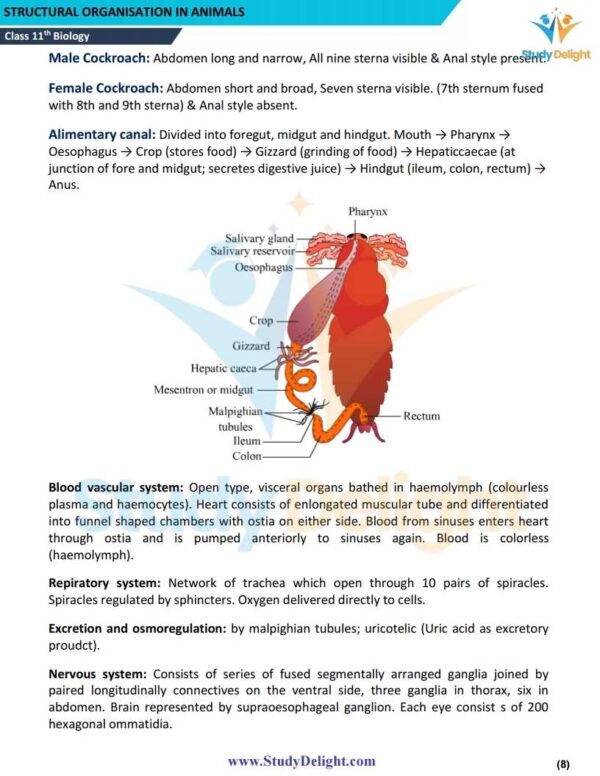 Class 11 Biology Short Notes 2025-2026 | Digital eBook (PDF)