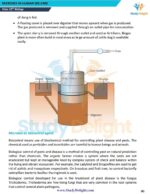 Class 12 Biology Short Notes 2025-2026 | Digital eBook (PDF)