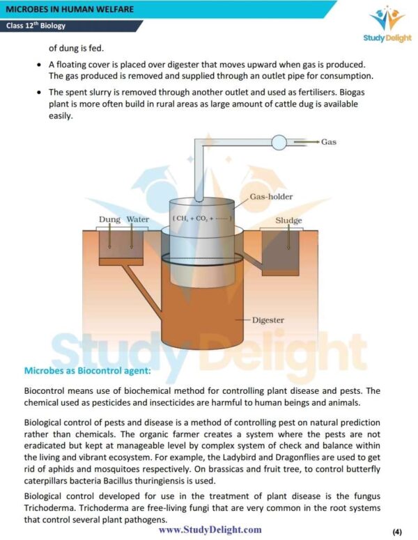 Class 12 Biology Short Notes 2025-2026 | Digital eBook (PDF)